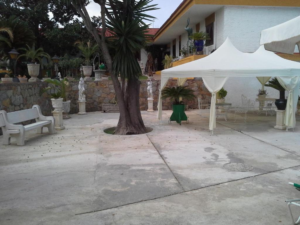 Hotel Ginés Extérieur photo